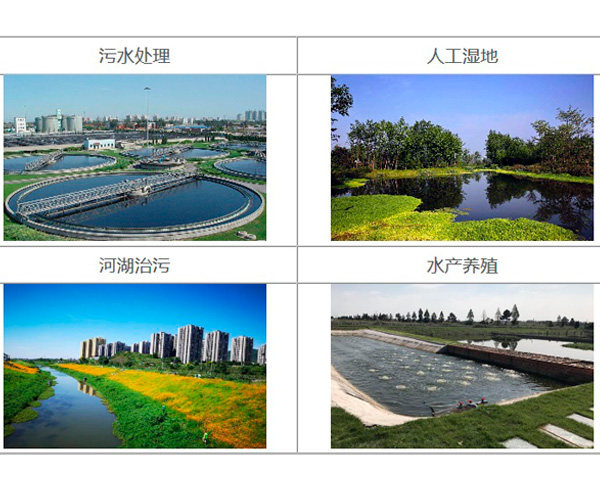 水質改良劑