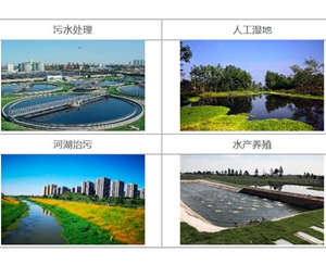 水質改良劑